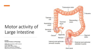 Motility of large intestine_Mass movement and defecation | PDF
