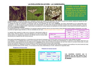LA EVOLUCIÓN EN ACCIÓN : LA CARBONARIA.
                                                                                                                              La polilla moteada, Bioston
                                                                                                                               betularia, se encuentra en
                                                                                                                              muchas áreas de Inglaterra.
                                                                                                                              Se presenta en dos formas:
                                                                                                                              la polilla de color claro y la
                                                                                                                                polilla de color oscuro.


La Biston betularia, o mariposa del abedul es un lepidóptero nocturno que durante el día descansa en las ramas o troncos de los árboles cubiertos de líquenes de color
grisáceo. El color blanco sucio de las alas contribuye a que sean confundidas con la base sobre la que se posan.
 A mediados del siglo XIX comenzaron a observarse cada vez más ejemplares de color oscuro (melánica), que fueron denominadas por los coleccionistas como
“carbonarias”. En 1848 se descubría el primer ejemplar cerca de Manchester y en 1895 el 95% de todas las mariposas de abedul eran de la variedad carbonaria. Tres años
más tarde, la proporción ya llegaba al 99%. A este proceso, que aparece en muchas especies de lepidópteros de zonas urbanas, incluso antes de la revolución industrial, se
le ha llamado melanismo industrial.
Por aquella época se dio un curioso paralelismo: las mariposas melánicas aparecían sólo en las zonas donde se había asentado industria pesada. Actualmente, en el norte
y suroeste de Inglaterra sigue dándose un 100% de variedades de color claro. ¿Cuál es la relación entre un suceso y otro?
                                                                                                                                 Troncos claros            Troncos oscuros

La siguiente tabla presenta los datos que se obtuvieron coleccionando polillas en                                                   Número         %           Número        %
zonas rurales, donde los árboles no han sido afectados por el hollín de las fábricas
                                                                                             Polillas Claras                          324         99, 1          114         9,3
(troncos claros) y en bosques muy próximos a las fábricas donde los troncos están
oscurecidos por el depósito del hollín (troncos oscuros).                                                                                                                    90,
                                                                                                        Polillas Oscuras               3           0,9          1403
                                                                                                                                                                             7

Para explicar esta desigual proporción en la abundancia de los dos tipos de mariposas en los troncos claros y oscuros se formularon varias hipótesis de trabajo.
El investigador H: B: D: Kettlewell figuró entre los que supusieron que el color de las polillas las protegía de los depredadores, en particular, de los pájaros. Pensó que si se
podía demostrar experimentalmente que las polillas oscura de Betularia sufrirían menos el efecto de la prelación que las formas claras en las áreas contaminadas, se podía
concluir que la polución debido al humo de las industrias y la apariencia de las formas oscuras, están relacionadas.
Durante los estudios el d. Kettlewell se construyó un biombo y una cámara filmadora de alta resolución para observar la prelación de las polillas por las aves durante las horas
del día en los troncos libres de hollín (claros). Y en los bosque de las zonas contaminadas por el hollín, obteniendo los siguientes datos:

            Predación en troncos claros
                                                                          Predación en troncos oscuros
                                 Número de polillas comidas
    TIPOS DE AVE
                                Oscuras           Claras
                                                                      TIPOS DE       Número de polillas
         Muscicapa striata          81              9                 AVE            comidas                                 Los resultados muestran que la
                                                                                                                             predación por las aves parece ser el
           Sitta europea            40              11                               Oscuras       Claras        Tot         agente de selección natural en la polilla
        Emberiza citrinella         20              0
                                                                                                                 al          B: betularia
        Erithacus rubecula          12              2                 Redstart       15            43            58
            Turdus sp.              11              4

              Total                 164             26
 