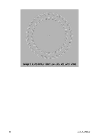 13   IES LA ZAFRA
 