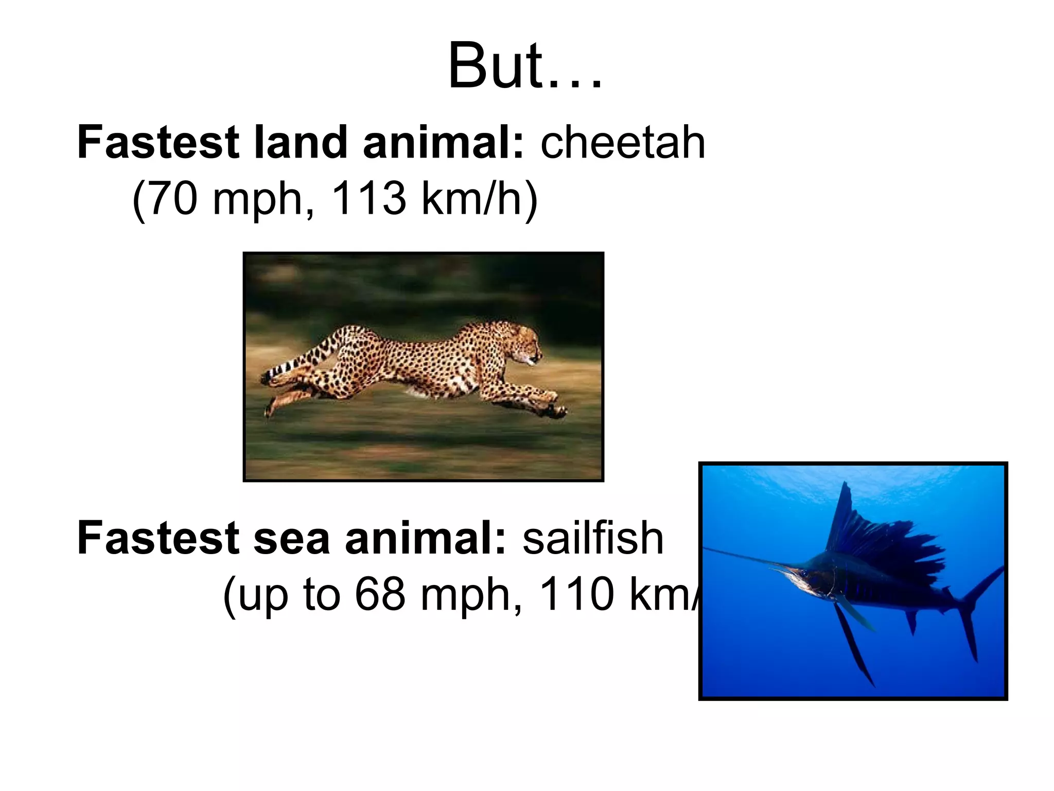 But…
Fastest land animal: cheetah
(70 mph, 113 km/h)
Fastest sea animal: sailfish
(up to 68 mph, 110 km/h)
 