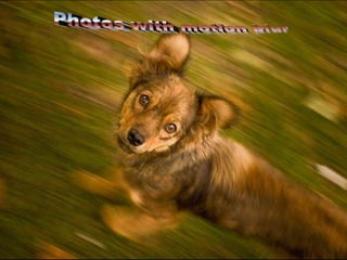  Photos with motion blur 