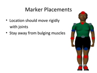 Marker Placements

Location should move rigidly
 with joints
Stay away from bulging muscles
 