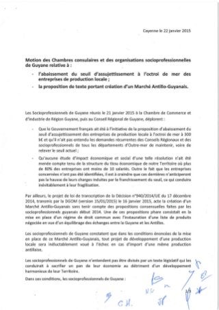 Motion pour l'équilibre du marché guyanais (22.01.15)