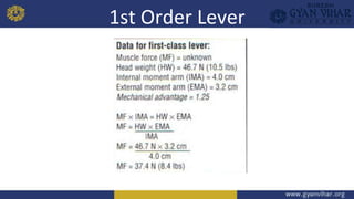 Motion,Force and Levers .pptx
