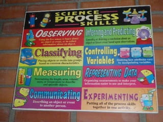 Motion & force experiments