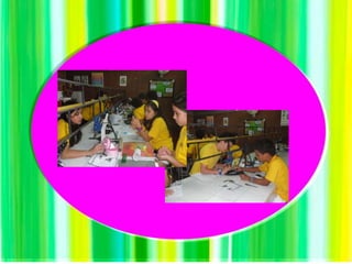 Motion & force experiments