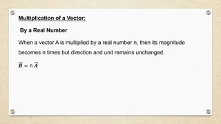 Multiplication of a Vector:
By a Real Number
When a vector A is multiplied by a real number n, then its magnitude
becomes n times but direction and unit remains unchanged.
𝑩 = n 𝑨
 