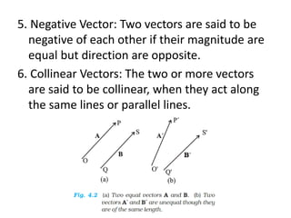 5. Negative Vector: Two vectors are said to be
negative of each other if their magnitude are
equal but direction are opposite.
6. Collinear Vectors: The two or more vectors
are said to be collinear, when they act along
the same lines or parallel lines.
 
