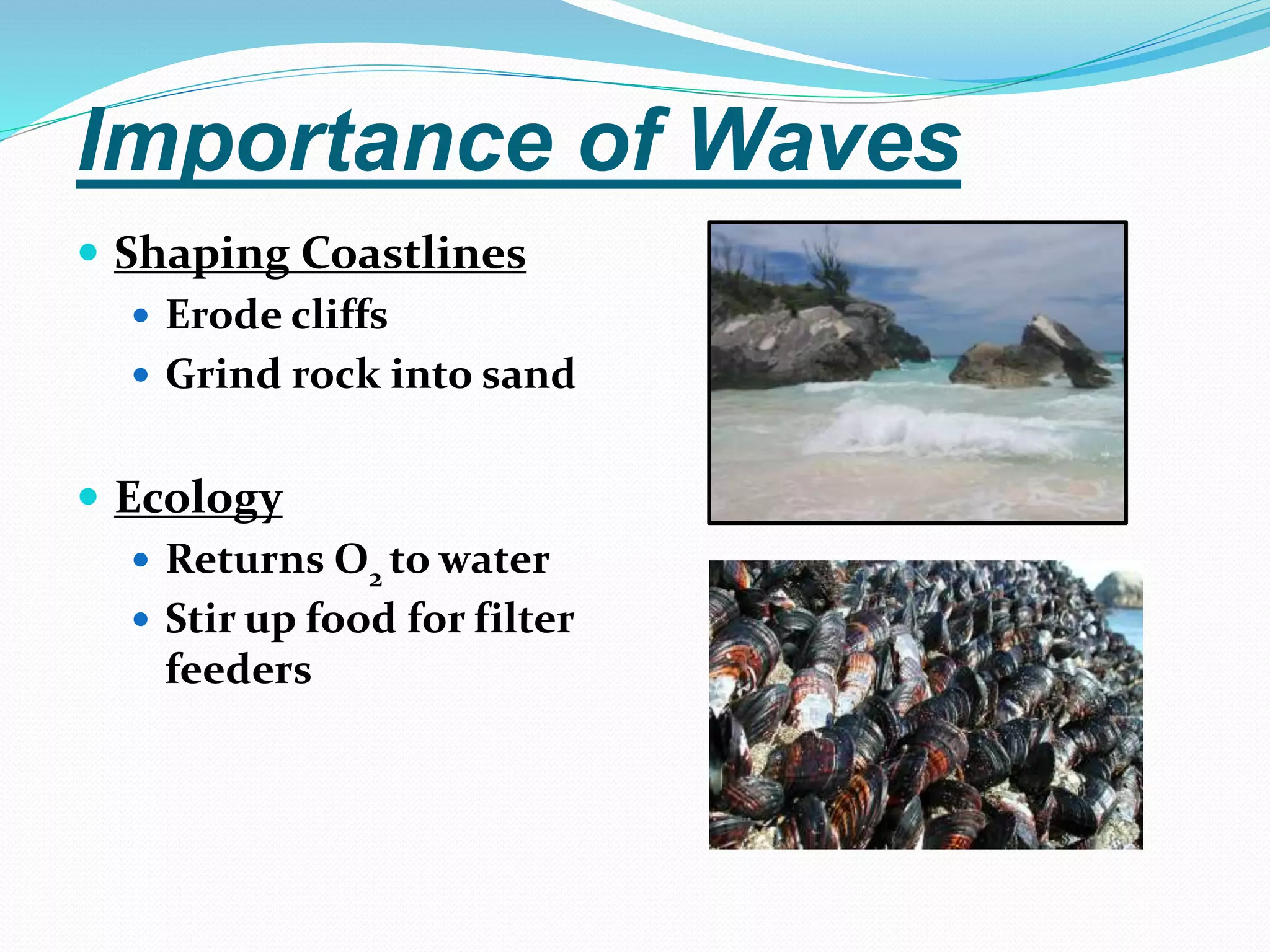 Importance of Waves
 Shaping Coastlines
 Erode cliffs
 Grind rock into sand
 Ecology
 Returns O2 to water
 Stir up food for filter
feeders
 