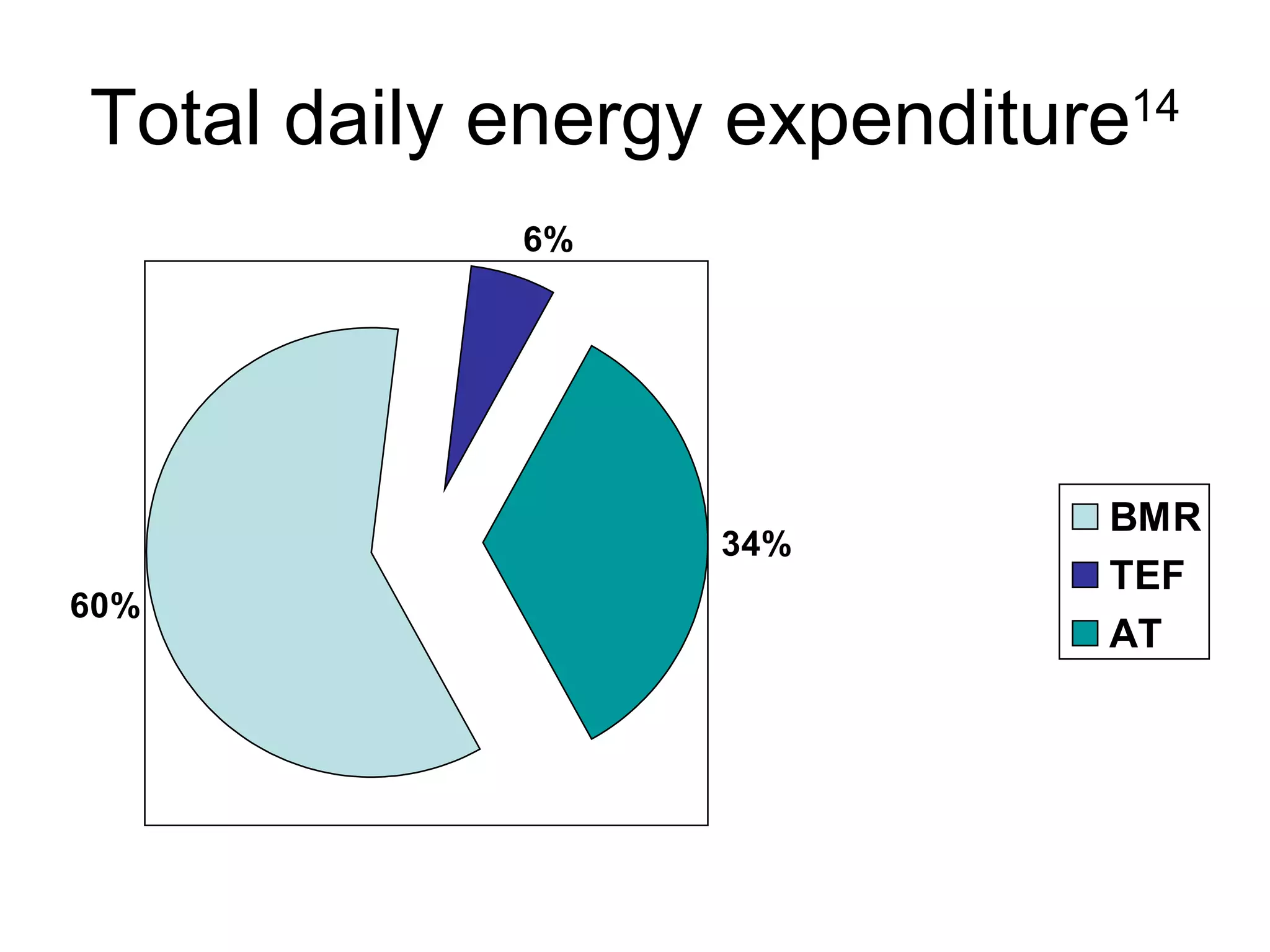 Total daily energy expenditure 14 