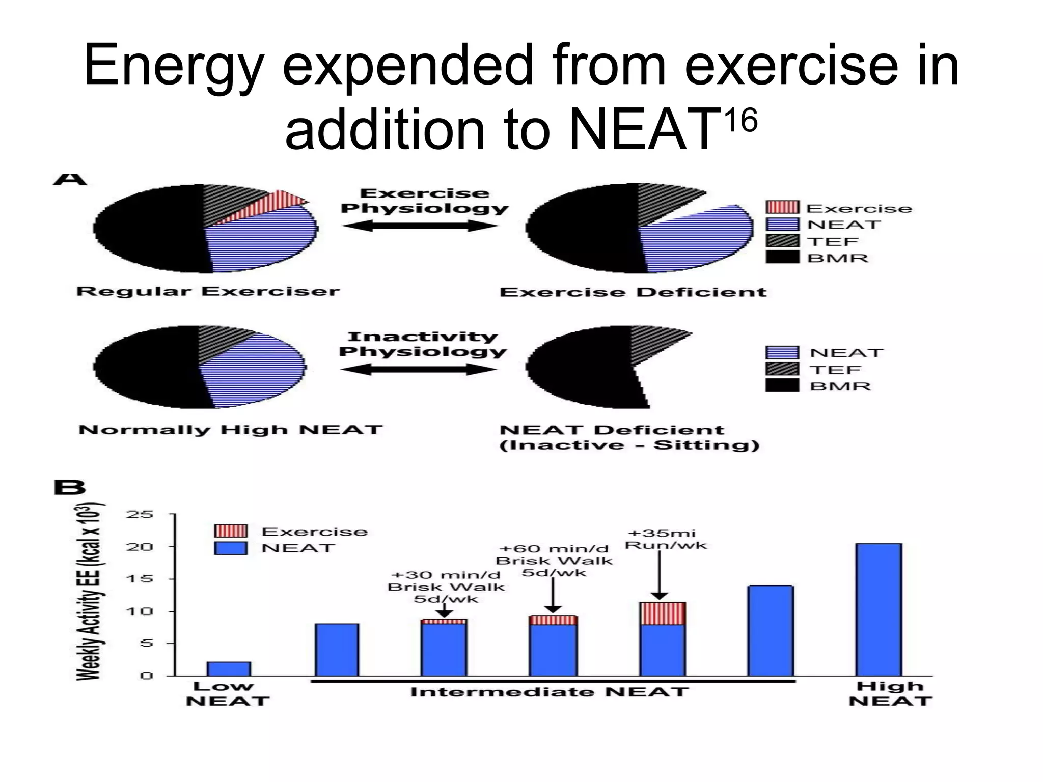 Energy expended from exercise in addition to NEAT 16 