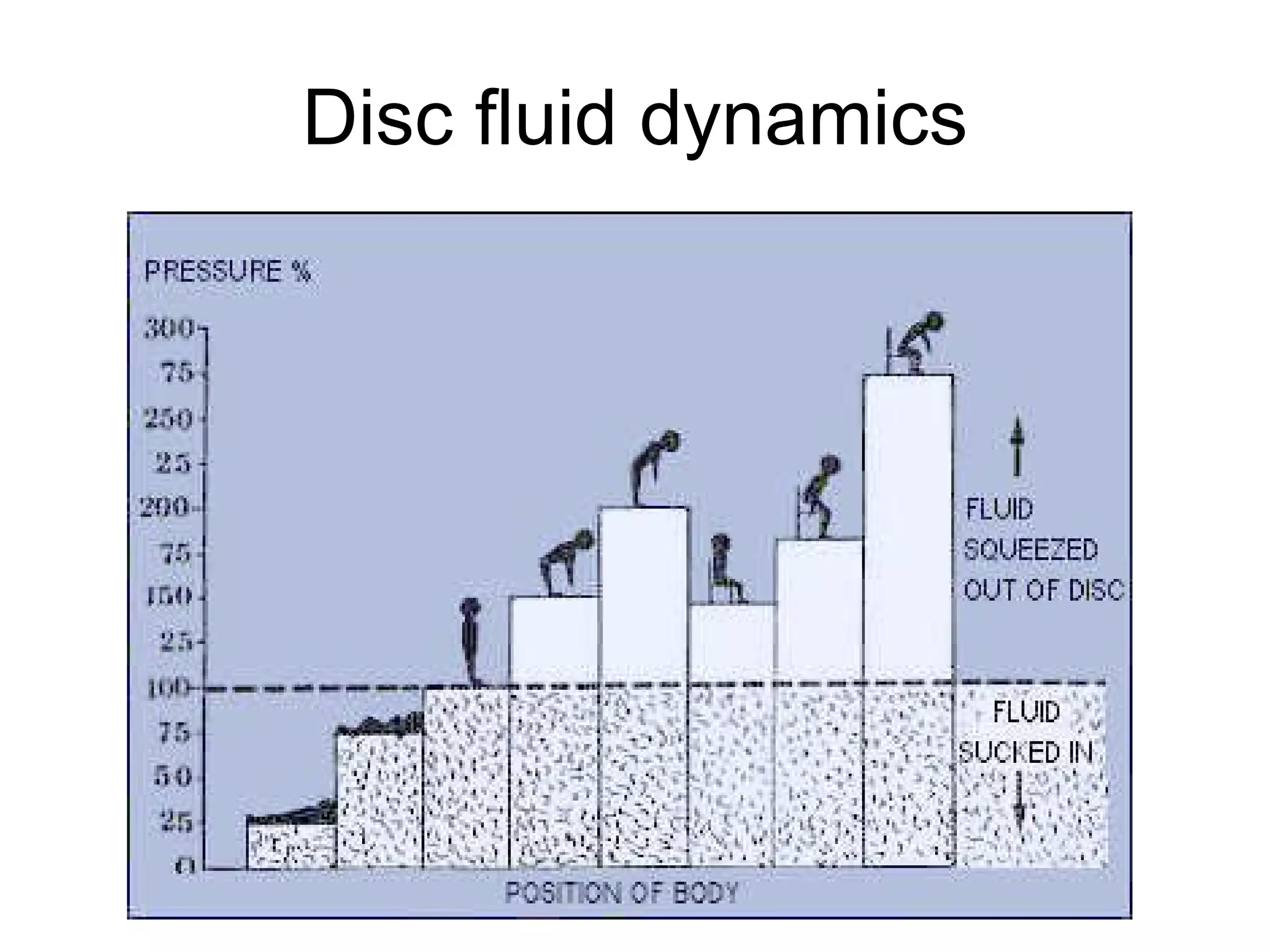 Disc fluid dynamics 