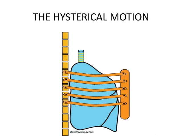 MOTION MANAGEMENT IN RADIOTHERAPY | PPTX | Lung and Respiratory Health ...