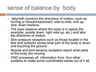 sense of balance by body
 labyrinth monitors the directions of motion, such as
turning or forward-backward, side-to-side, and up-
and- down motions.
 The eyes observe where the body is in space (for
example, upside down, right side up, etc.) and also
the directions of motion.
 Skin pressure receptors such as those located in the
feet and buttocks sense what part of the body is down
and touching the ground.
 Muscle and joint sensory receptors report what parts
of the body are moving.
 CND processes all information from four other
systems to make some coordinated sense out of it all.
 