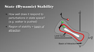 State (Dynamic) StabilityState (Dynamic) Stability
●
How well does it respond
to perturbations in state
space? (e.g. walker is
pushed)
●
Region of stability = basin
of attraction
●
How well does it respond
to perturbations in state
space? (e.g. walker is
pushed)
●
Region of stability = basin
of attraction
 