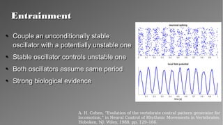 EntrainmentEntrainment
●
Couple an unconditionally stable
oscillator with a potentially unstable
one
●
Stable oscillator controls unstable one
●
Both oscillators assume same period
●
Strong biological evidence
●
Couple an unconditionally stable
oscillator with a potentially unstable
one
●
Stable oscillator controls unstable one
●
Both oscillators assume same period
●
Strong biological evidence
A. H. Cohen, “Evolution of the vertebrate central pattern generator for
locomotion,” in Neural Control of Rhythmic Movements in Vertebrates.
Hoboken, NJ: Wiley, 1988, pp. 129–166.
 