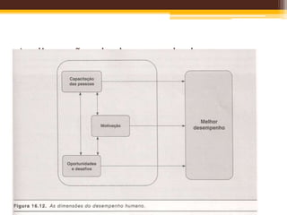 As dimensões do desempenho humano
 