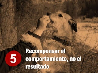 Recompensar el
comportamiento, no el
resultado
5
 