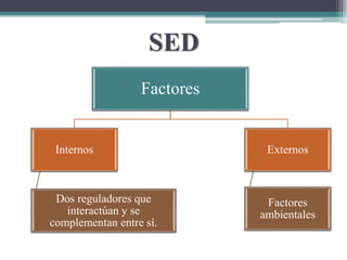 SED
Factores
Internos
Dos reguladores que
interactúan y se
complementan entre sí.
Externos
Factores
ambientales
 