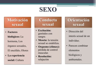 SEXO
Motivación
sexual
• Factores
biológicos: La
hormona, Los
órganos sexuales,
El encéfalo, Olores
• La experiencia
social: Cultura
Conducta
sexual
• Excitación:
genitales con
sangre.
• Meseta: la tensión
sexual se estabiliza.
• Orgasmo (clímax):
pérdida de control
muscular.
• Resolución:
relajación
Orientación
sexual
• Dirección del
interés sexual de un
individuo.
• Parecen combinar
elementos
biológicos y
ambientales.
 