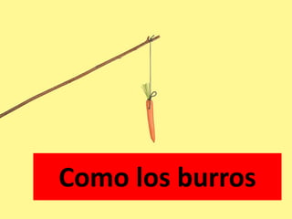 Como los burros