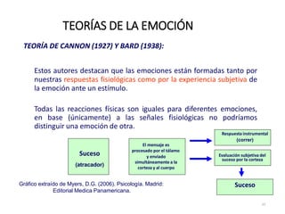 TEORÍA DE CANNON (1927) Y BARD (1938):
Estos autores destacan que las emociones están formadas tanto por
nuestras respuestas fisiológicas como por la experiencia subjetiva de
la emoción ante un estímulo.
Todas las reacciones físicas son iguales para diferentes emociones,
en base (únicamente) a las señales fisiológicas no podríamos
distinguir una emoción de otra.
TEORÍAS DE LA EMOCIÓN
23
Suceso
(atracador)
El mensaje es
procesado por el tálamo
y enviado
simultáneamente a la
corteza y al cuerpo
Respuesta instrumental
(correr)
Evaluación subjetiva del
suceso por la corteza
Suceso
Gráfico extraído de Myers, D.G. (2006). Psicología. Madrid:
Editorial Medica Panamericana.
 