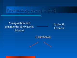 KKíívváánnccssiissáágg ééss eexxpplloorráácciióó 
A magasabbrendű 
organizmus környezetét 
fefedezi 
Explorál, 
kíváncsi 
ÚJDONSÁG 
 