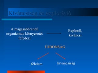 KKíívváánnccssiissáágg ééss eexxpplloorráácciióó 
A magasabbrendű 
organizmus környezetét 
fefedezi 
Explorál, 
kíváncsi 
ÚJDONSÁG 
félelem kíváncsiság 
 
