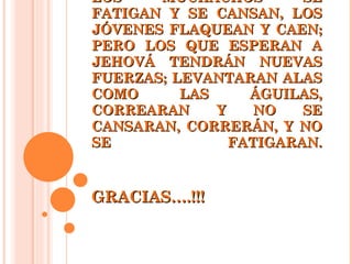 LOS MUCHACHOS SE FATIGAN Y SE CANSAN, LOS JÓVENES FLAQUEAN Y CAEN; PERO LOS QUE ESPERAN A JEHOVÁ TENDRÁN NUEVAS FUERZAS; LEVANTARAN ALAS COMO LAS ÁGUILAS, CORREARAN Y NO SE CANSARAN, CORRERÁN, Y NO SE FATIGARAN.     GRACIAS….!!!  