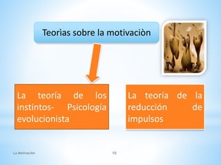 Teorìas sobre la motivaciòn
La teoría de los
instintos‐ Psicología
evolucionista
La teoría de la
reducción de
impulsos
La Motivaciòn 10
 