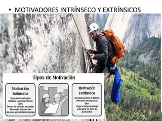 • MOTIVADORES INTRÍNSECO Y EXTRÍNSICOS
 