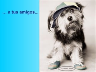 … a tus amigos...
 