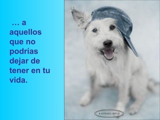 … a
aquellos
que no
podrías
dejar de
tener en tu
vida.
 