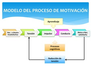 MODELO DEL PROCESO DE MOTIVACIÓN 
Nec. o deseos 
insatisfechos Tensión Impulso Conducta Meta o Nec. 
satisfecha 
Aprendizaje 
Procesos 
cognitivos 
Reducción de 
tensión 
 