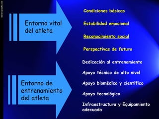 Condiciones básicas  Estabilidad emocional  Reconocimiento social   Perspectivas de futuro   Entorno vital  del atleta Ent...