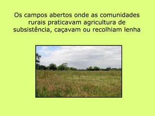 Os campos abertos onde as comunidades rurais praticavam agricultura de subsistência, caçavam ou recolhiam lenha 
