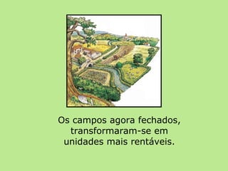 Os campos agora fechados, transformaram-se em unidades mais rentáveis. 