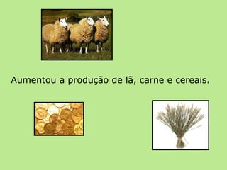 Aumentou a produção de lã, carne e cereais. 