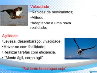 Velocidade
•Rapidez de movimentos;
•Atitude;
•Adaptar-se a uma nova
realidade;
Agilidade
•Leveza, desembaraço, vivacidade;
•Mover-se com facilidade;
•Realizar tarefas com eficiência.
• “Mente ágil, corpo ágil”
“Boi lerdo bebe água suja”
 