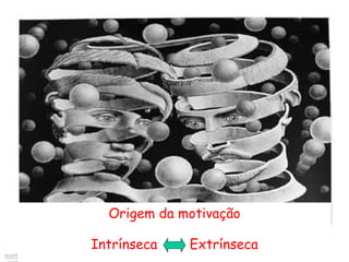Origem da motivação

Intrínseca   Extrínseca
 