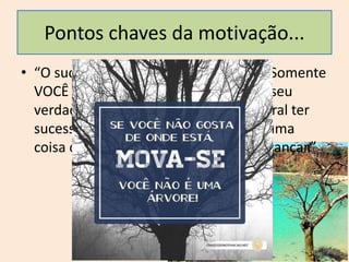 • “O sucesso é pessoal e intransferível. Somente
VOCÊ é capaz de determinar qual é o seu
verdadeiro significado. De maneira geral ter
sucesso, é ter conseguido realizar alguma
coisa que VOCÊ se comprometeu a alcançar.”
10
Pontos chaves da motivação...
 