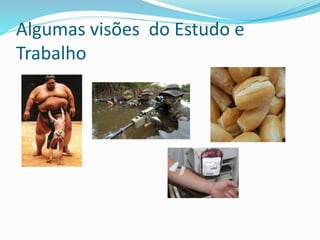 Algumas visões do Estudo e
Trabalho
 