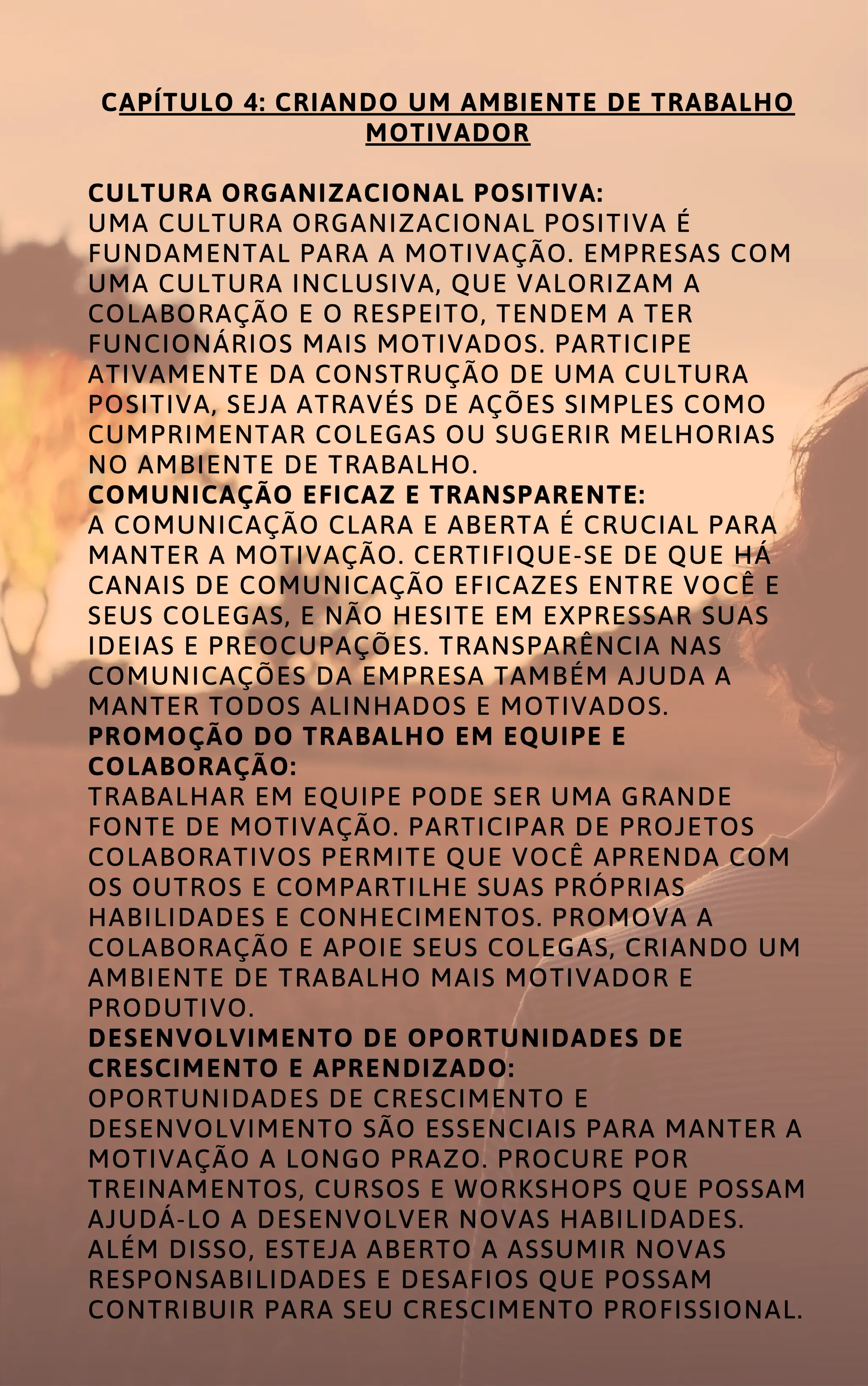 MOTIVAÇÃO NO TRABALHO COMO ALCANÇAR O SUCESSO PROFISSIONAL.pdf
