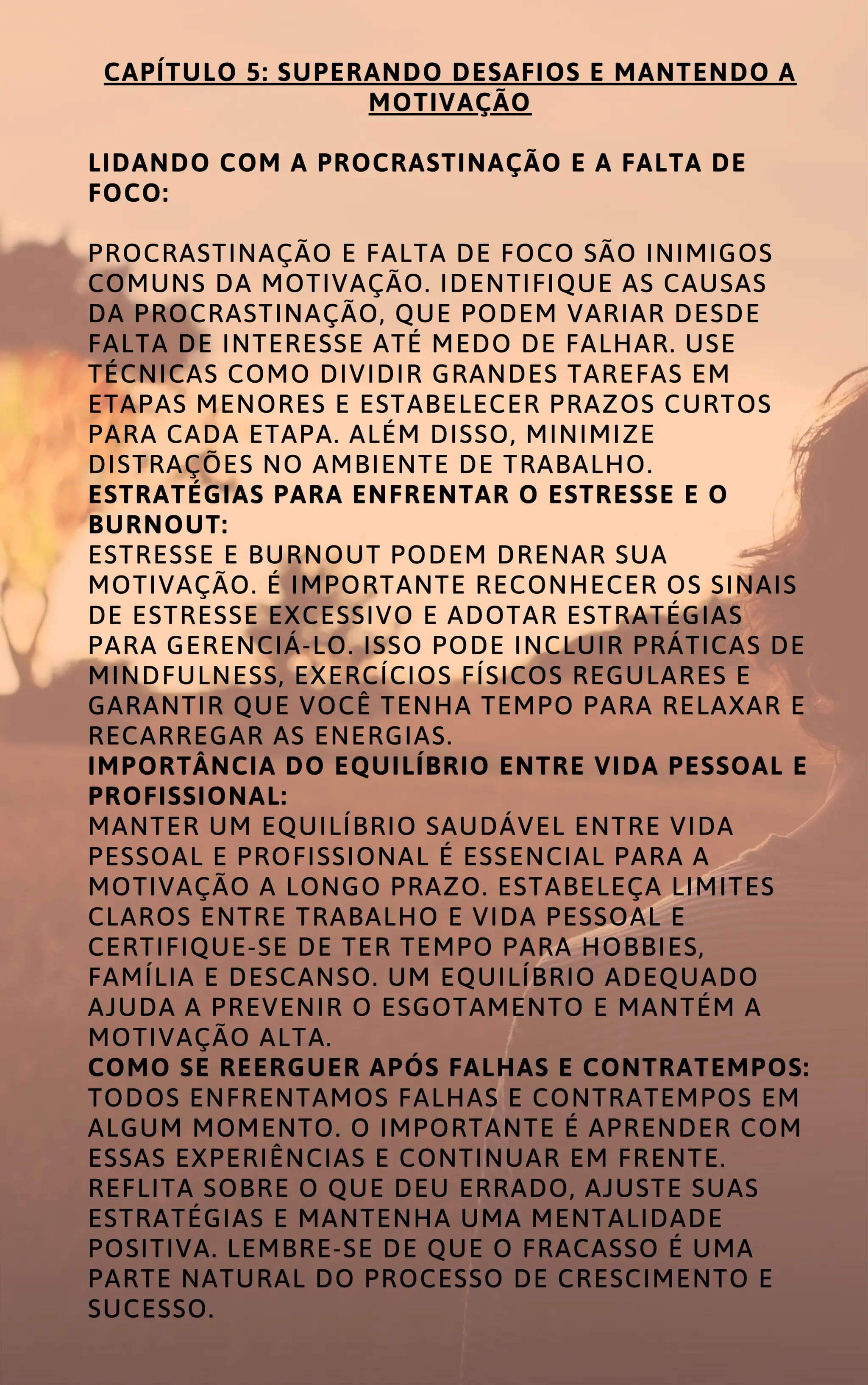 MOTIVAÇÃO NO TRABALHO COMO ALCANÇAR O SUCESSO PROFISSIONAL.pdf