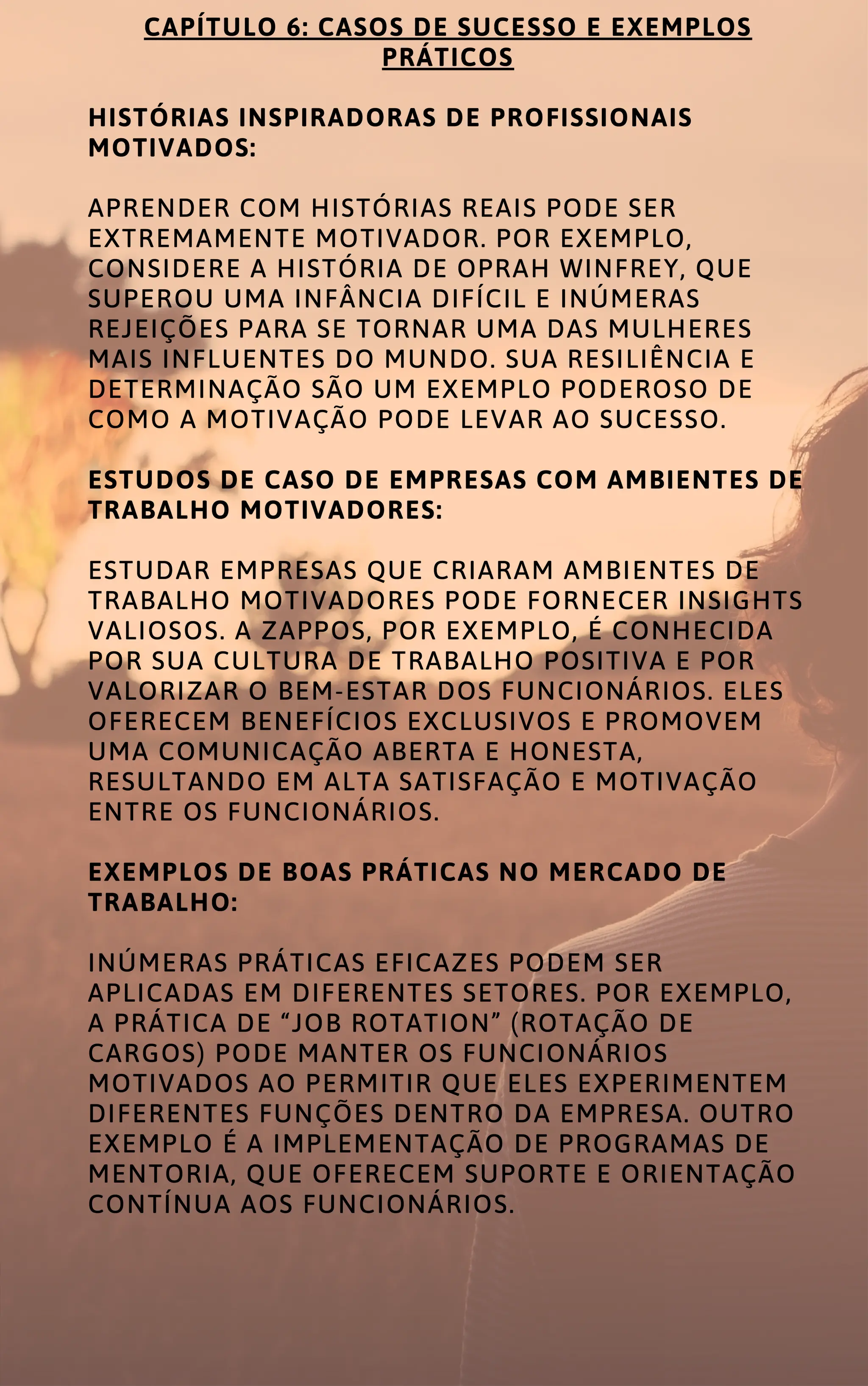 MOTIVAÇÃO NO TRABALHO COMO ALCANÇAR O SUCESSO PROFISSIONAL.pdf