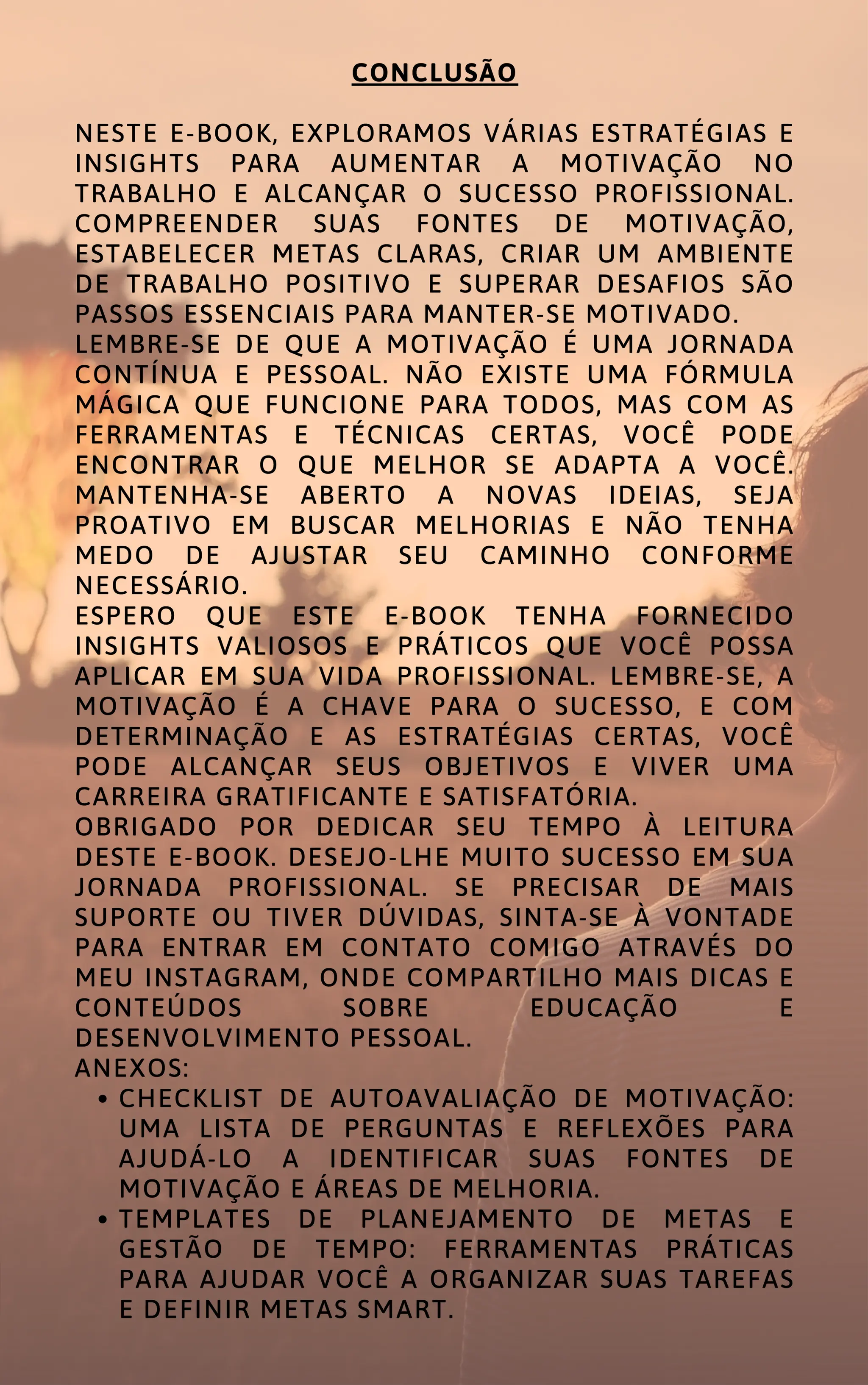 MOTIVAÇÃO NO TRABALHO COMO ALCANÇAR O SUCESSO PROFISSIONAL.pdf