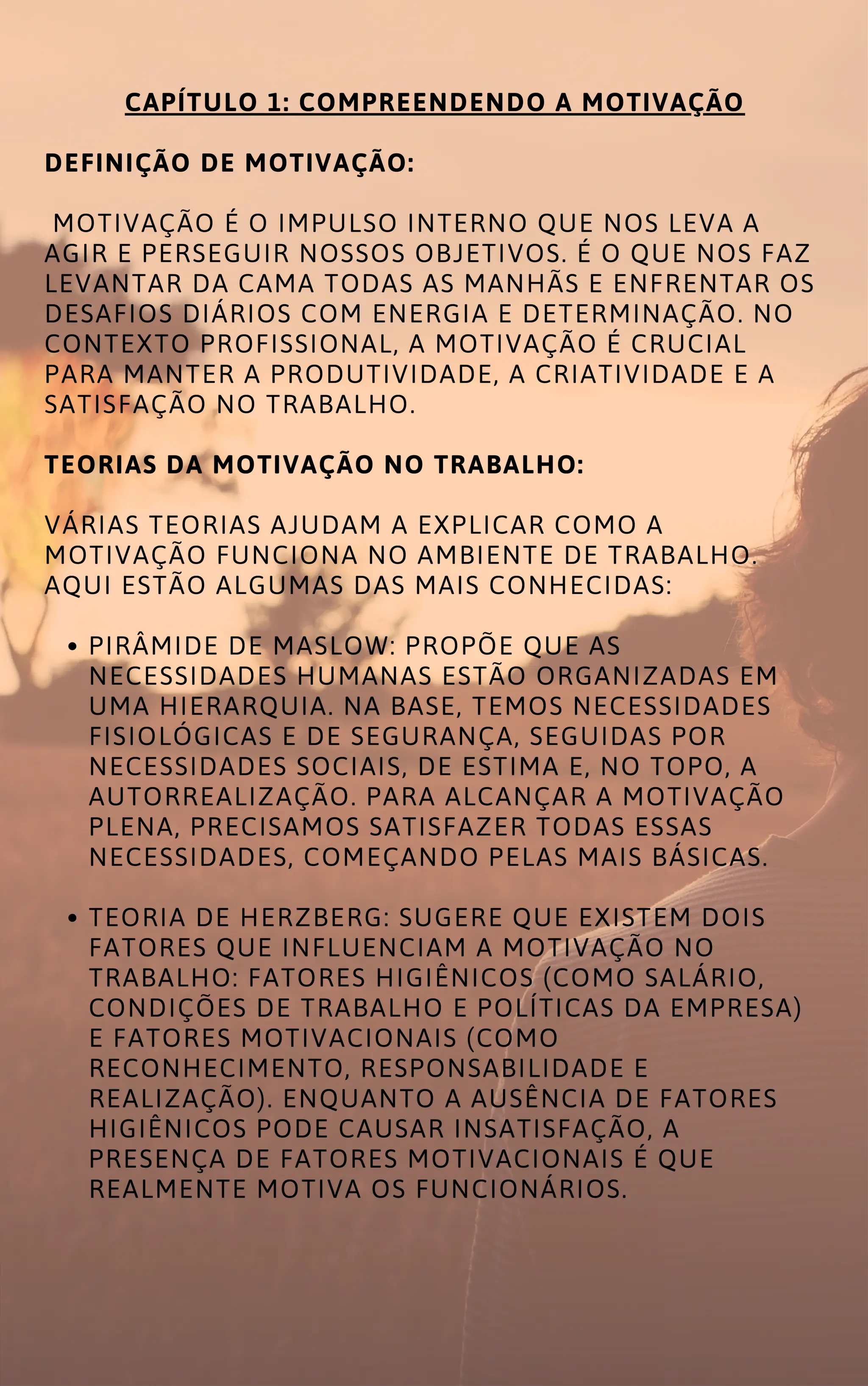 MOTIVAÇÃO NO TRABALHO COMO ALCANÇAR O SUCESSO PROFISSIONAL.pdf