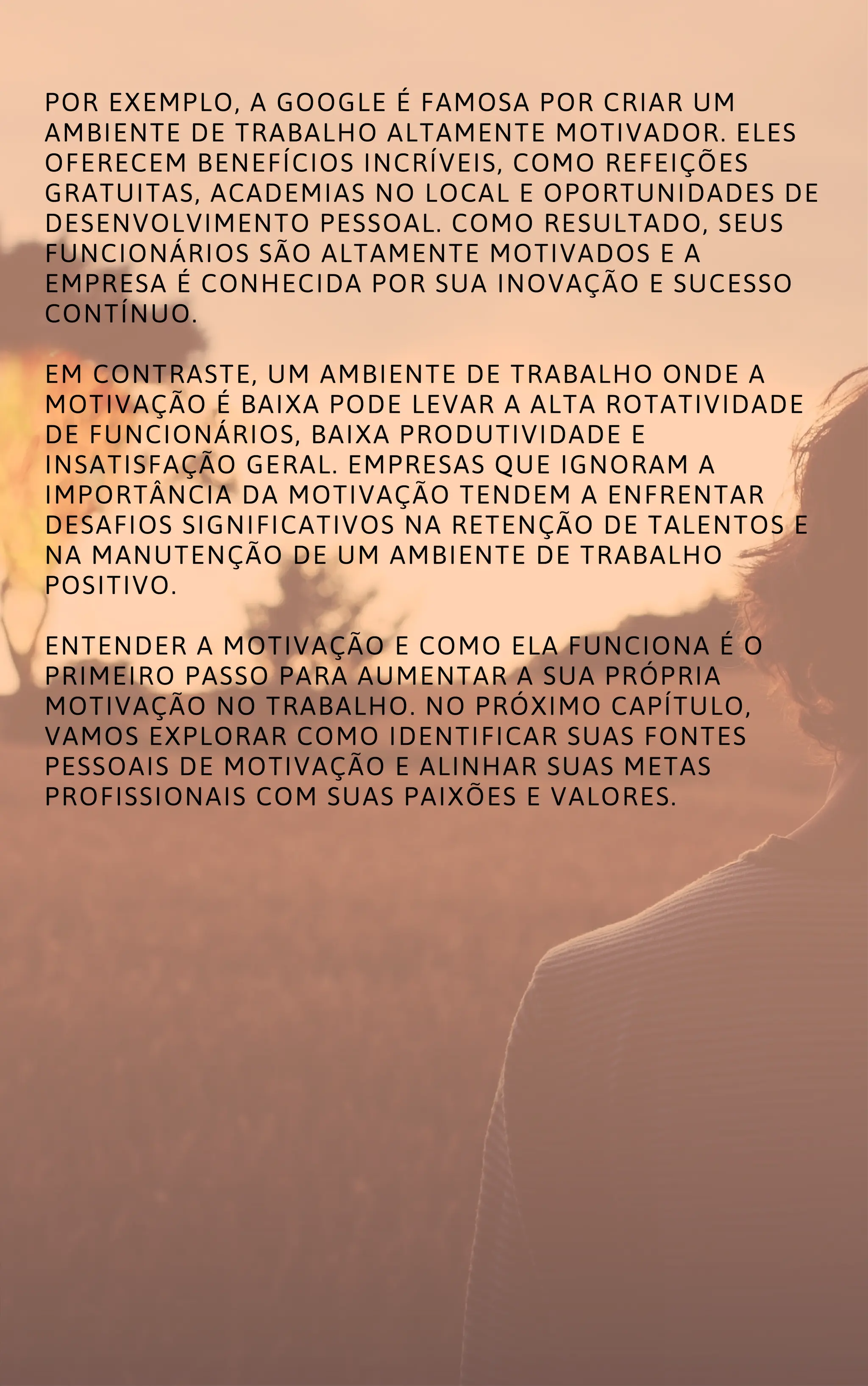 MOTIVAÇÃO NO TRABALHO COMO ALCANÇAR O SUCESSO PROFISSIONAL.pdf