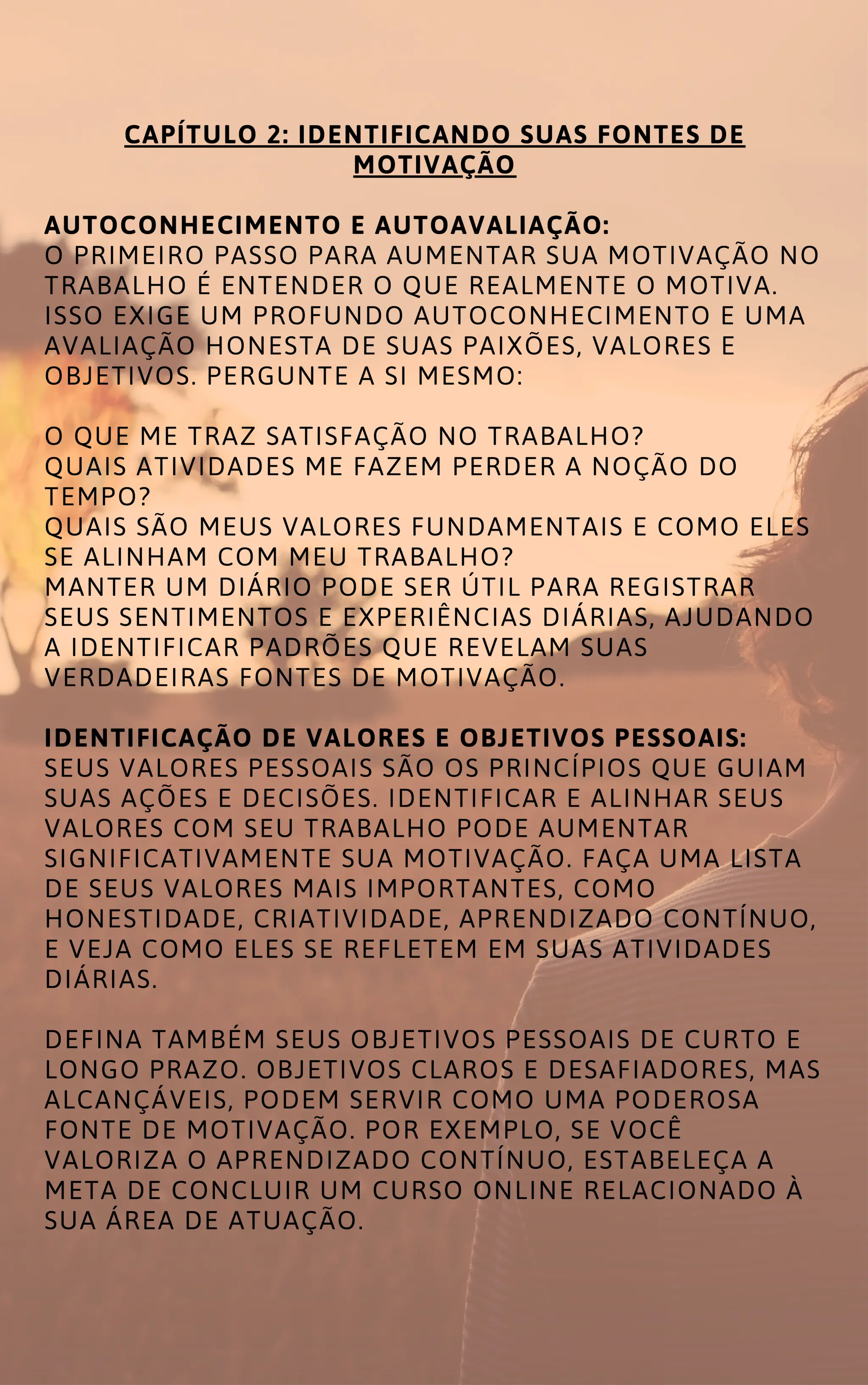 MOTIVAÇÃO NO TRABALHO COMO ALCANÇAR O SUCESSO PROFISSIONAL.pdf