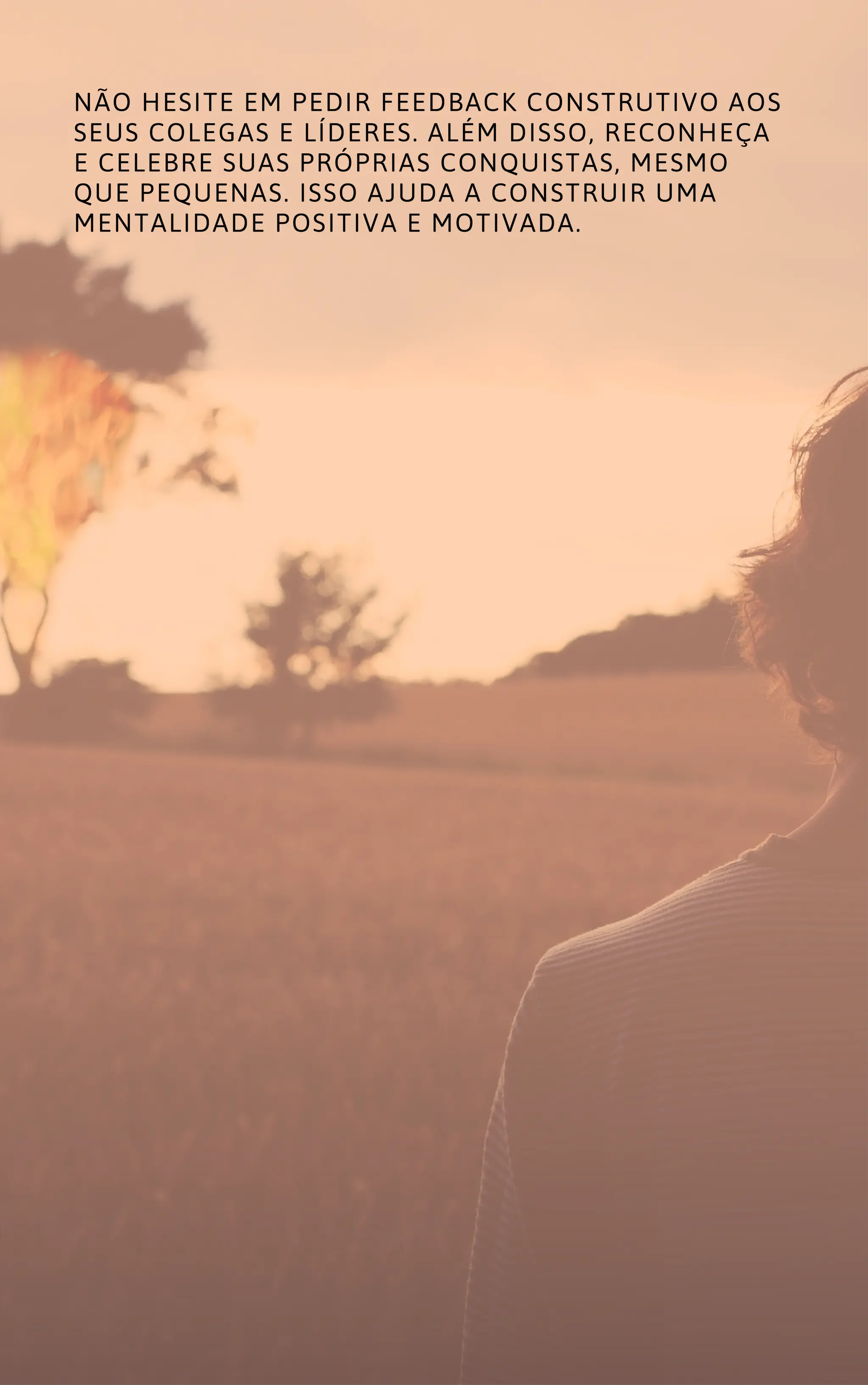 MOTIVAÇÃO NO TRABALHO COMO ALCANÇAR O SUCESSO PROFISSIONAL.pdf